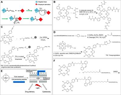 Synthesis and Applications of Porphyrin-Biomacromolecule Conjugates